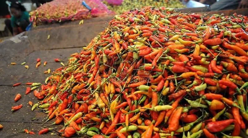 Harga Cabai Rawit Merah Tembus Rp75.750 per Kilogram